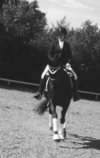 Tysk Varmblod Madita billede 8