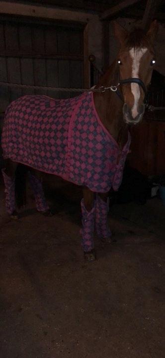 DSP Day-lights charmeur - han er ikke tilfreds med sit nye feminine rejsesæt <3 billede 6