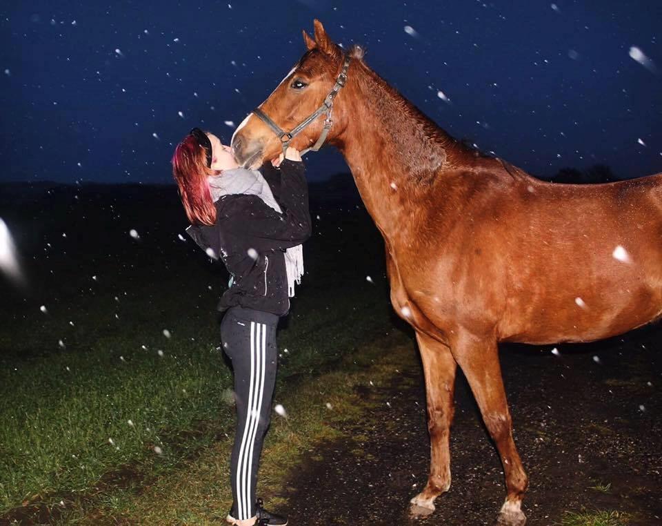 DSP Day-lights charmeur - myyys billede 3