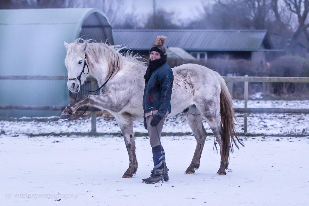 Connemara Dambækgårds Rubbin billede 7