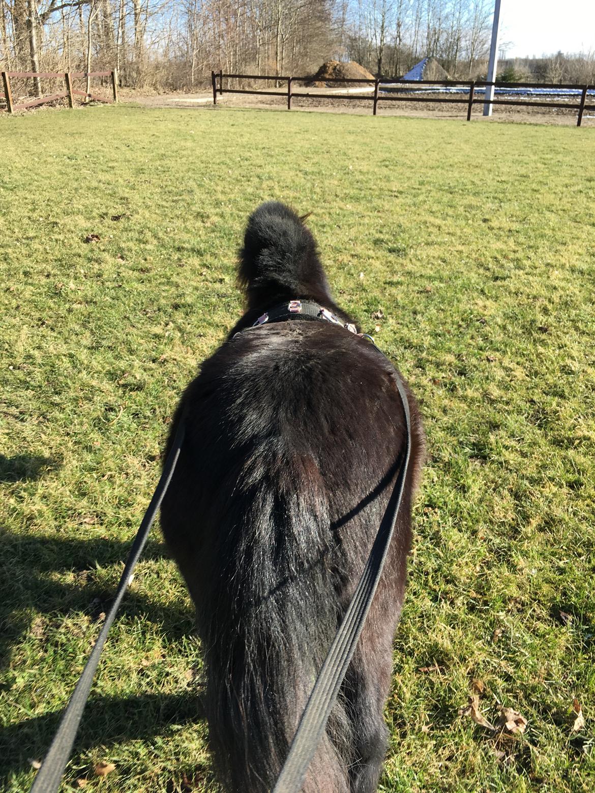 Anden særlig race I Silver [Gajol/Geo] - Når enden er go er alting godt billede 20