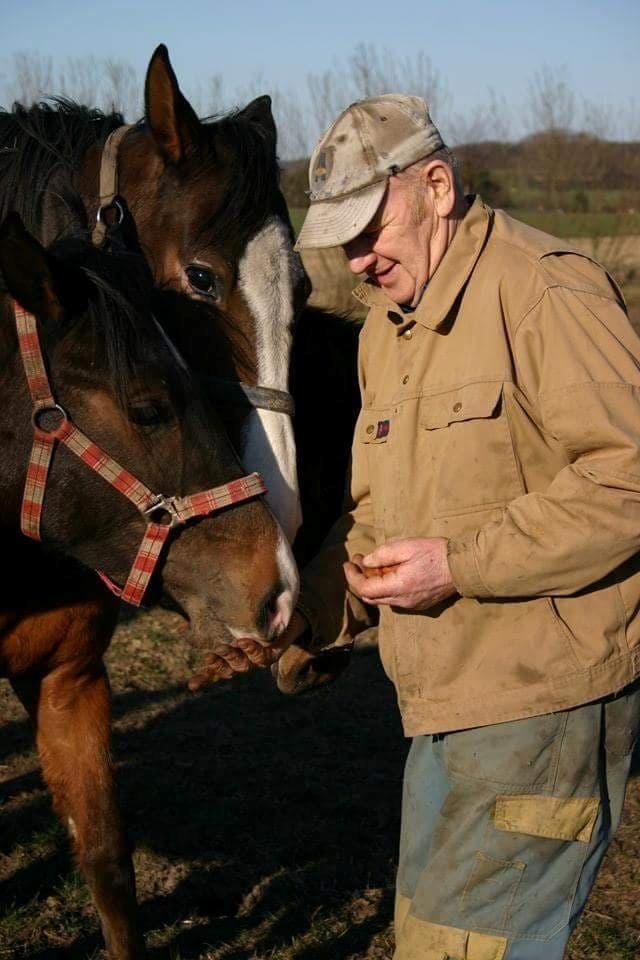 Dansk Varmblod Foulum´s Dia billede 13