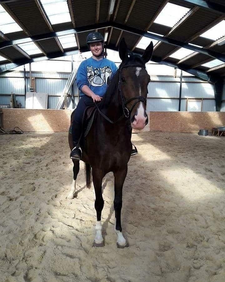 Dansk Varmblod Foulum´s Dia billede 10