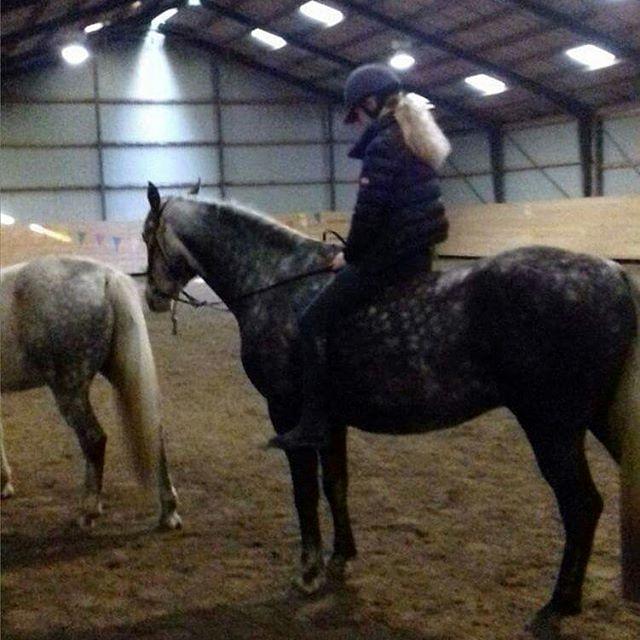 Anden særlig race Dumbledore billede 17