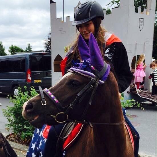 New Forest Kærgaardens Chili billede 8