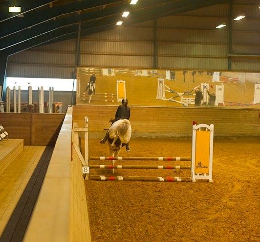 Pinto Boogie billede 15