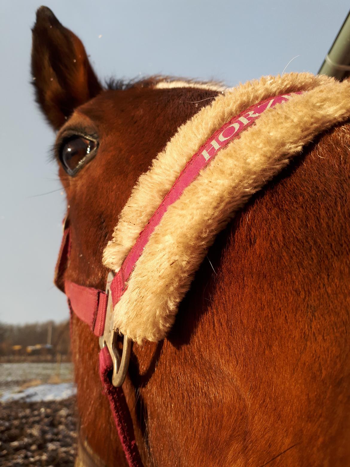 Traver Joy Game - Halloooo menneske billede 6