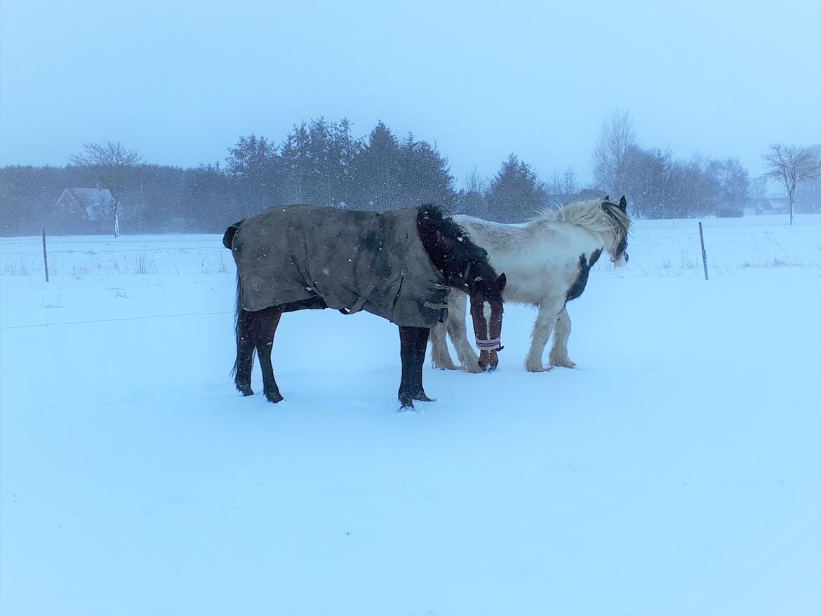 Traver Joy Game billede 7