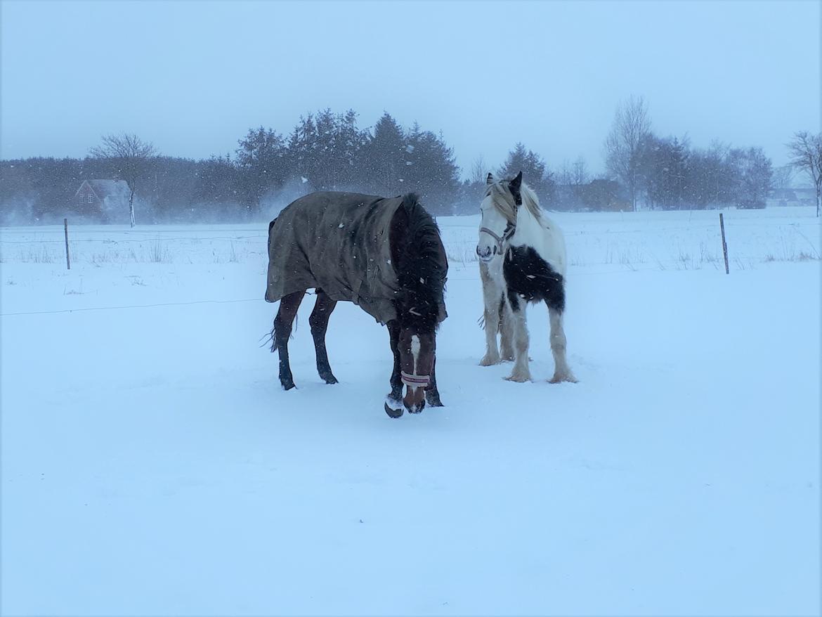 Traver Joy Game billede 8