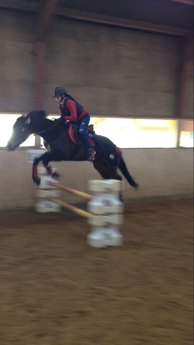 Traver Bette Nøk S - Første gang vi springer bidløst billede 1