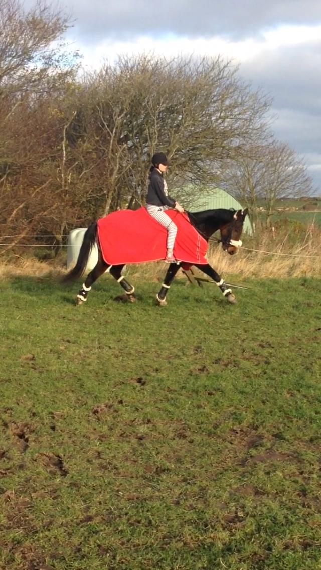 Traver Bette Nøk S billede 2