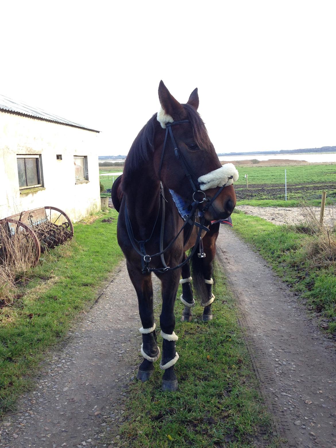 Traver Bette Nøk S billede 3