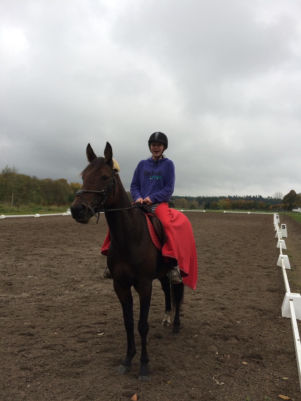 Traver Bette Nøk S - Første gang jeg sidder på hende, efter hun var syg billede 7