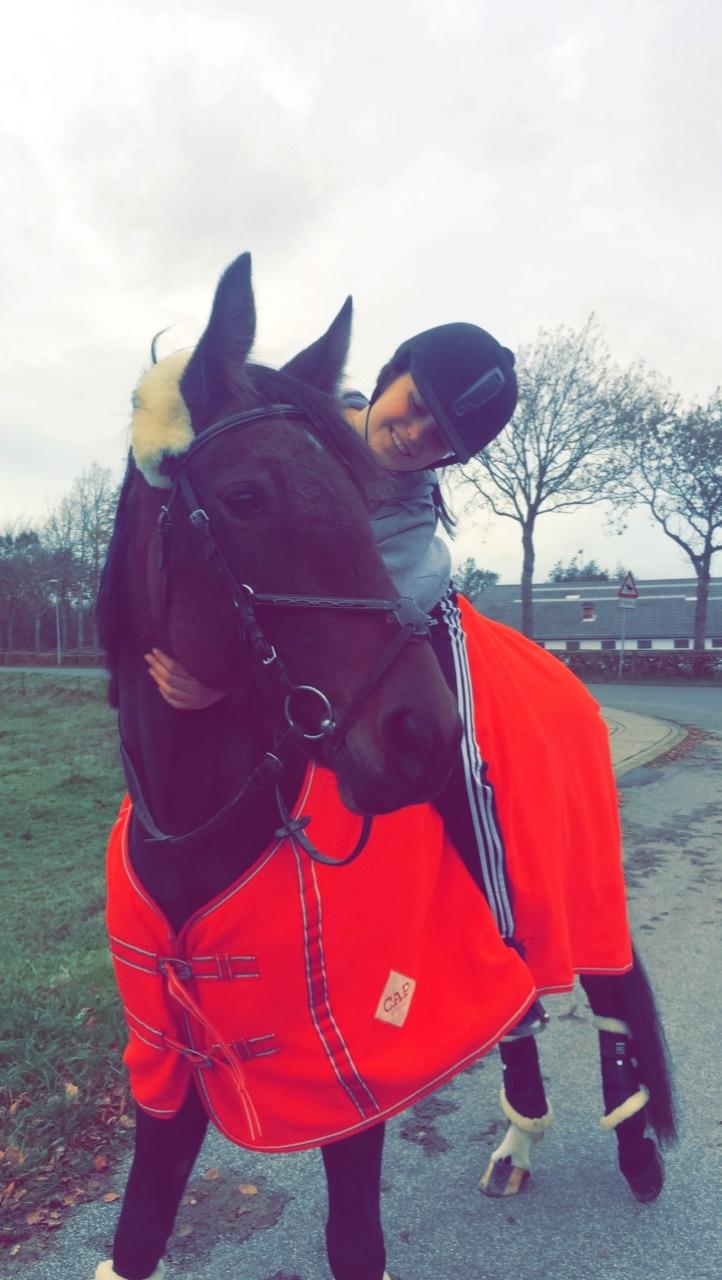 Traver Bette Nøk S billede 10