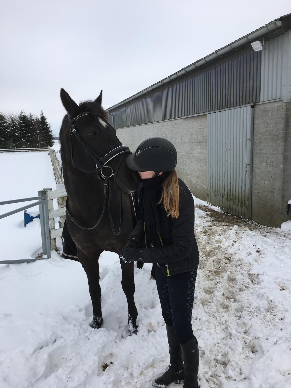 Anden særlig race Soffi billede 11