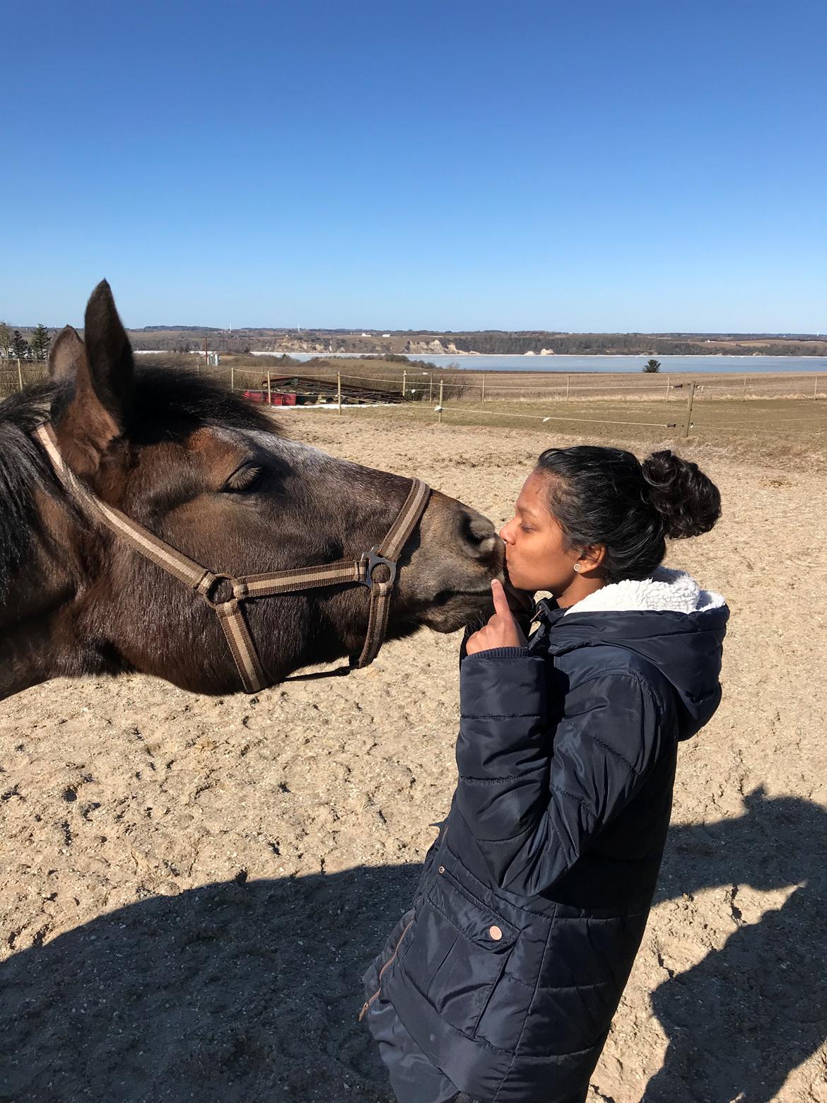 New Forest Elmholts Filicia billede 19