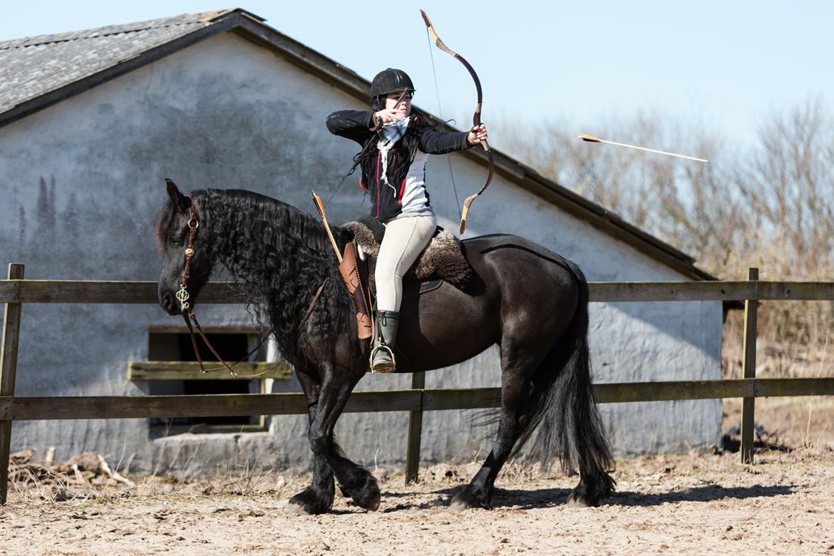 Frieser Migu van Årupgård - 18. marts 2018 ... 2. mounted archery træning + 1. gang med ridning uden tøjler ... Fotograf: Jeanette Meldgaard Poulsen billede 24