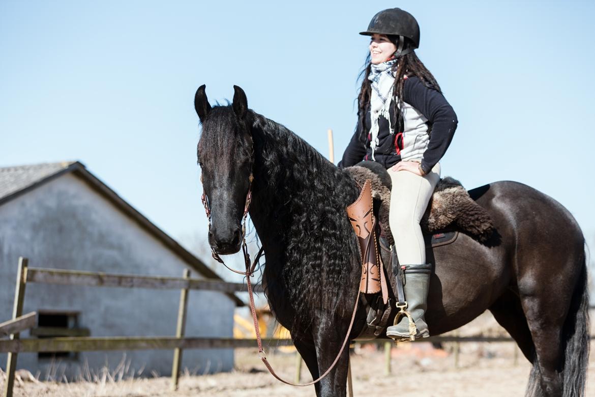 Frieser Migu van Årupgård - 18. marts 2018 ... Glæden efter en super træning ... Fotograf: Jeanette Meldgaard Poulsen billede 26