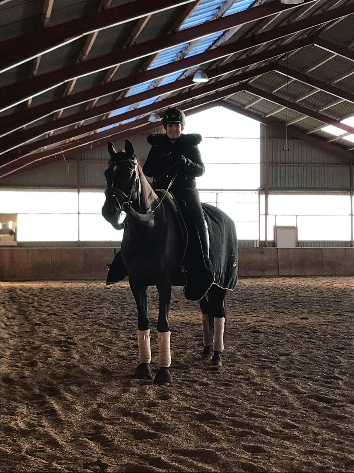 Tysk Varmblod Madita billede 3