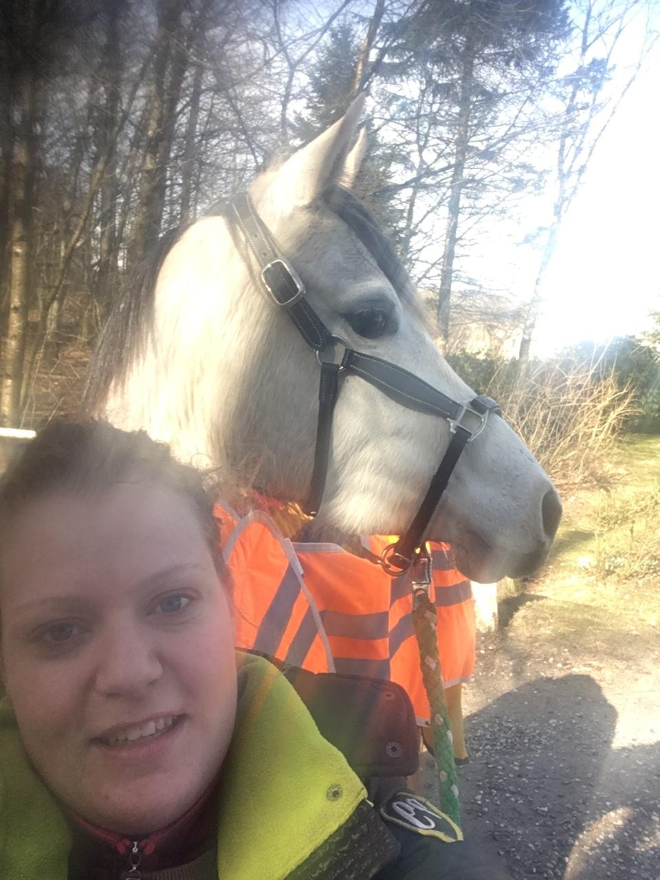 Anden særlig race Suna's Miss Diva - To tosser på tur :) billede 12