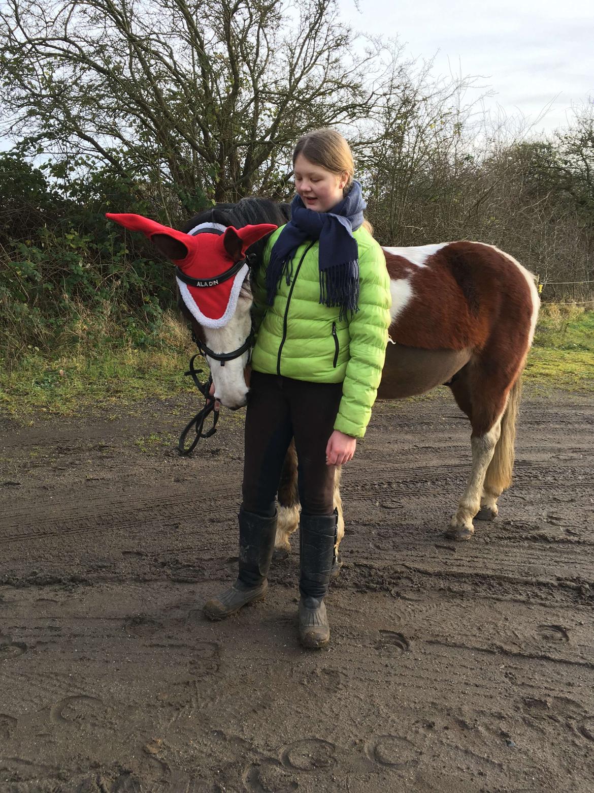 Anden særlig race Aladdin billede 12