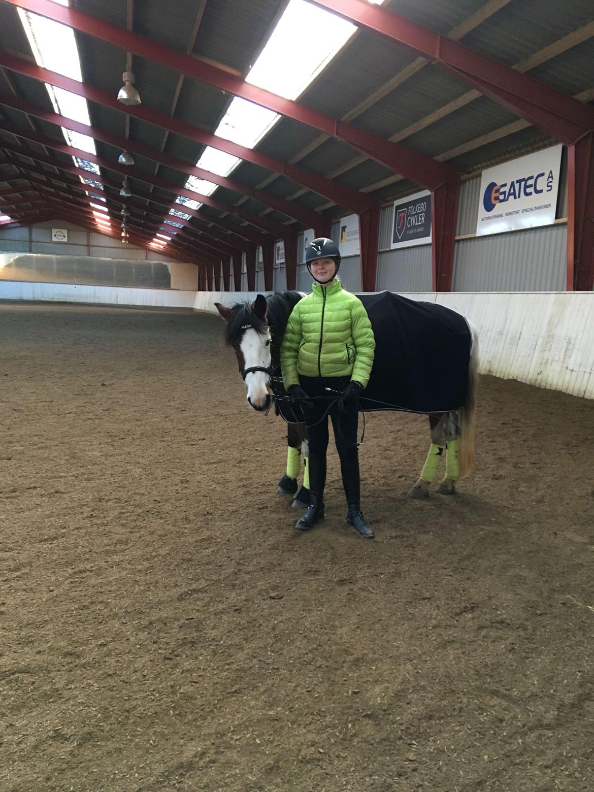 Anden særlig race Aladdin billede 20