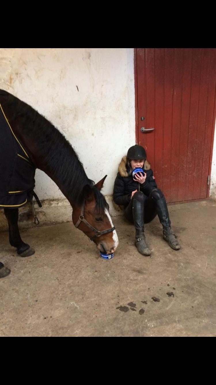 Anden særlig race Charmeur billede 16