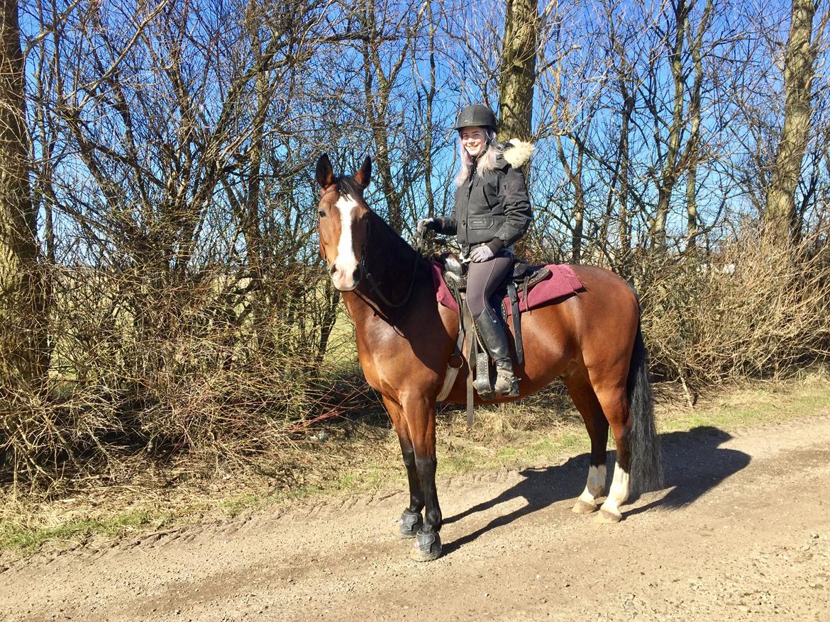 Anden særlig race Charmeur billede 12