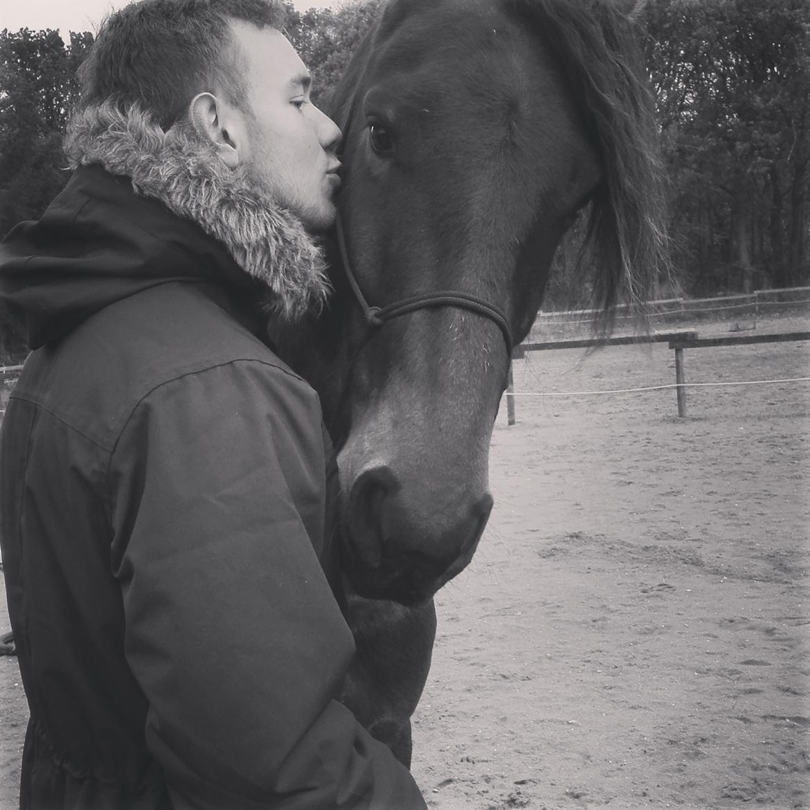 Anden særlig race Luchano billede 9