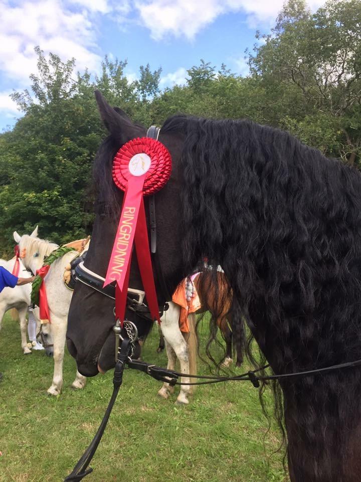 Frieser Rex (Part) billede 15