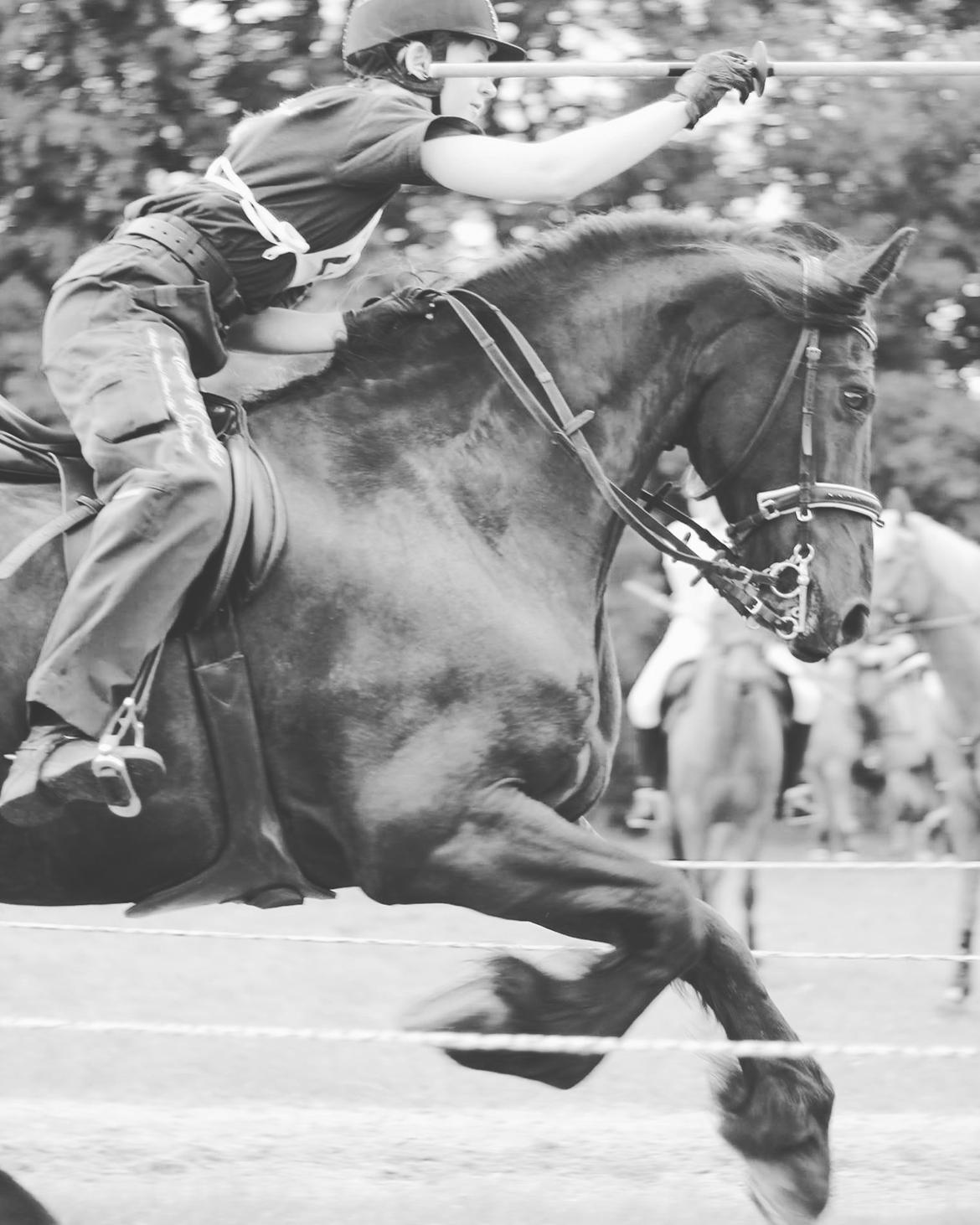 Frieser Rex (Part) billede 1