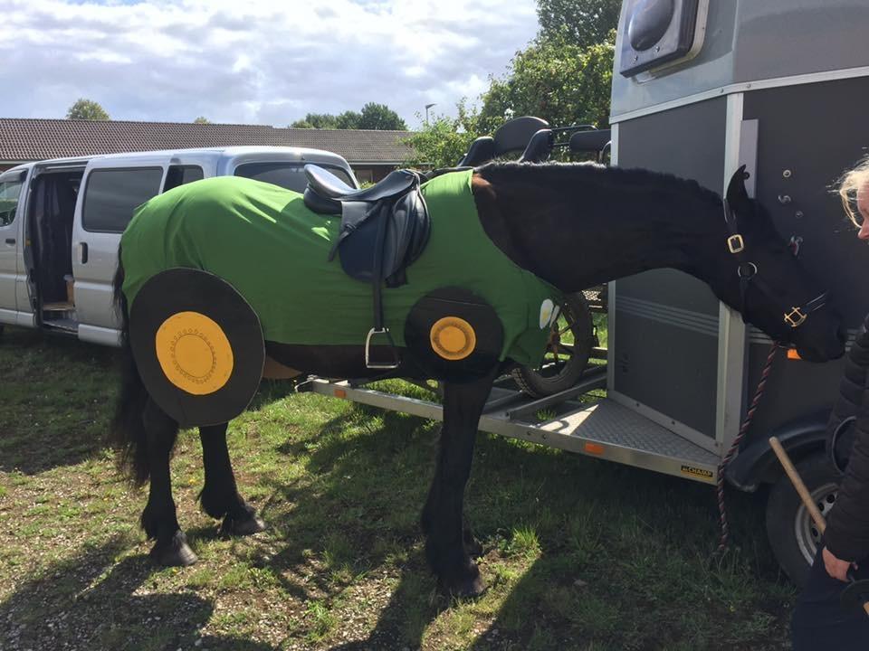 Frieser Rex (Part) billede 16