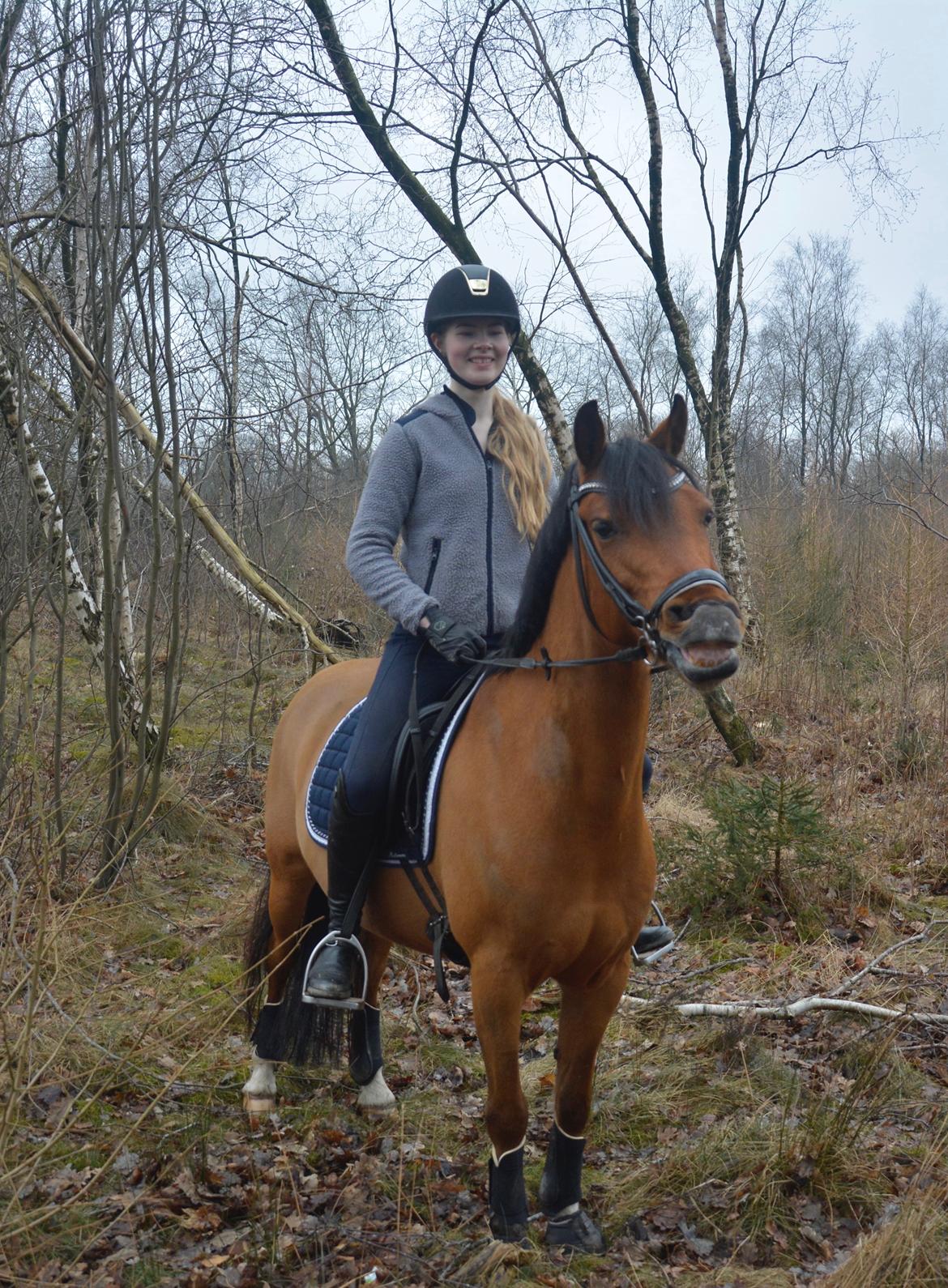Anden særlig race Steven Seagal (Baby Drengen) - Smukkeste Steven! billede 1