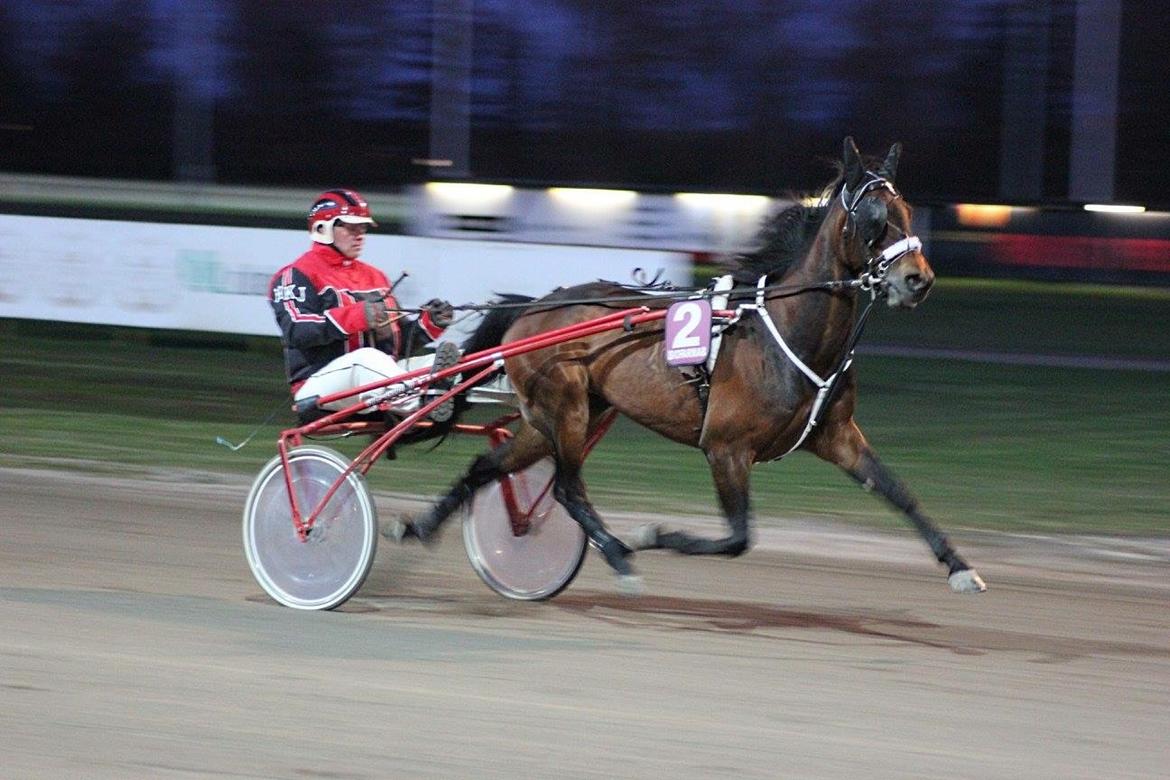 Traver Sofia Damhus billede 5