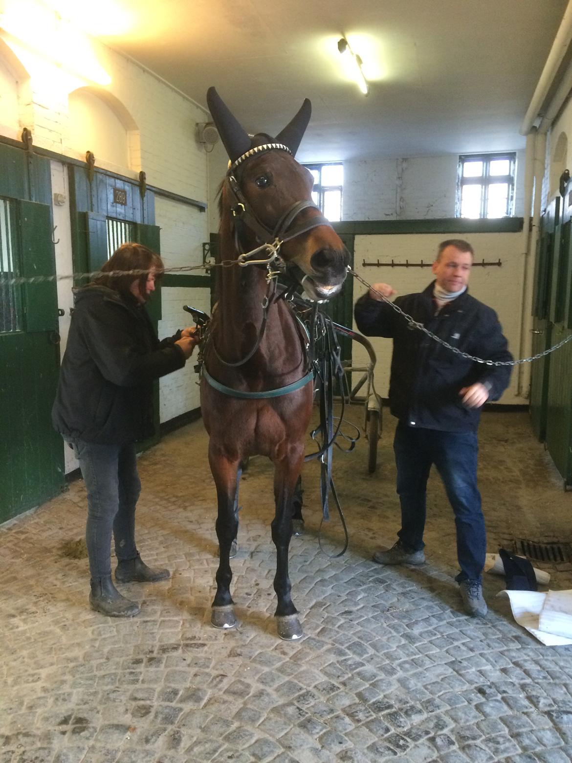 Traver Sofia Damhus billede 12