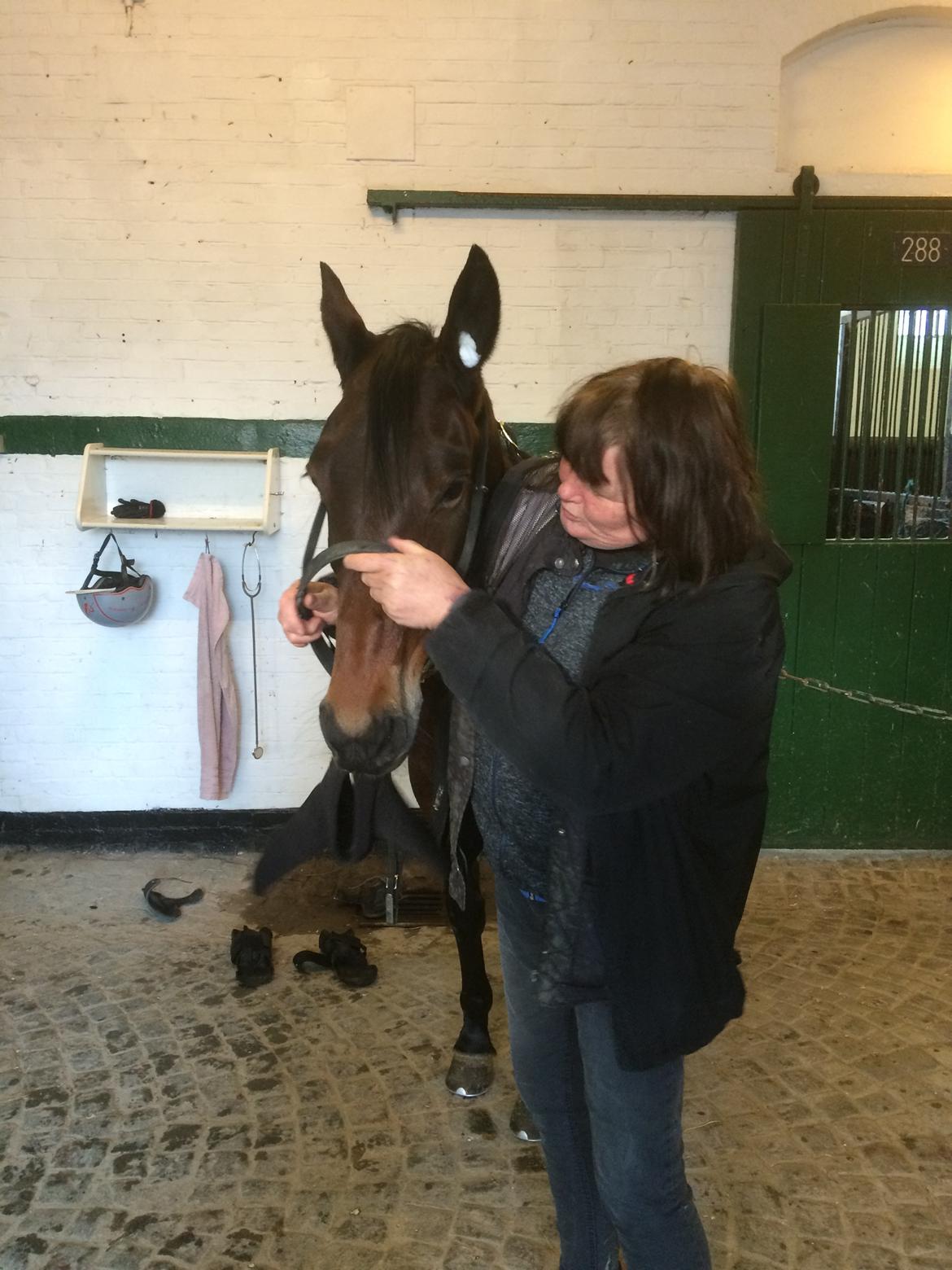 Traver Sofia Damhus billede 11