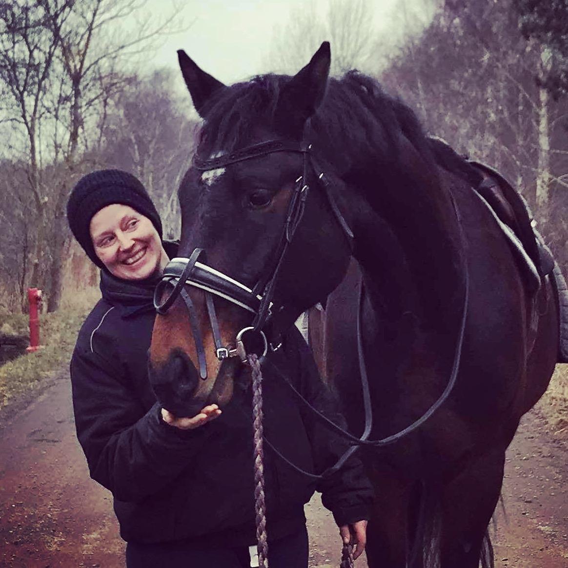 Dansk Varmblod Farmand's Premiere billede 19