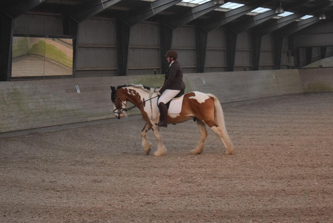 Tinker Butler fra bringstrup billede 20
