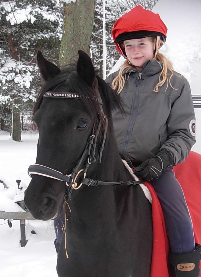 Welsh Pony af Cob-type (sec C) Engholms Bonnie Beate - Lidt julehygge - 1. søndag i advent 2010. Foto: mor billede 18