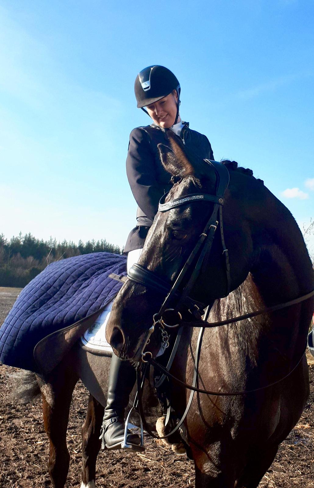 Dansk Varmblod Stenkærgårds Attention (B-hest) billede 22