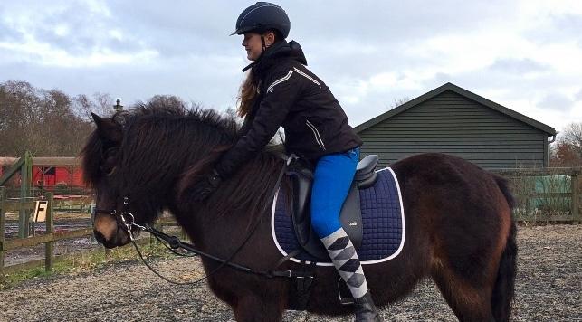 Anden særlig race June - June igang med genoptræning <3 billede 16