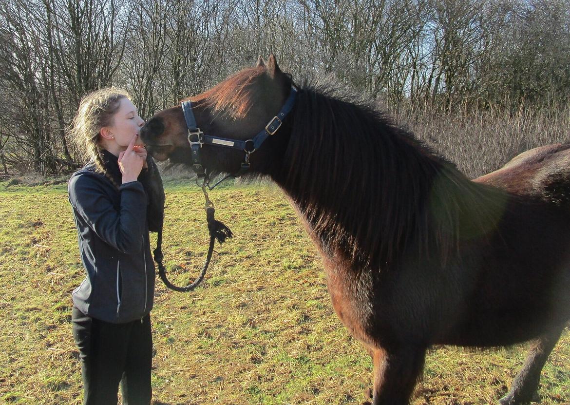 Anden særlig race June - Og kysse :-* billede 19