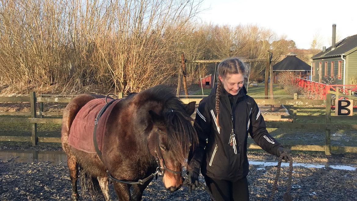 Anden særlig race June - Endu et billede fra genoptræningen :) billede 20