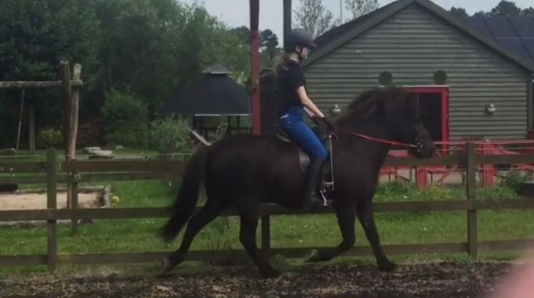 Islænder TVISTUR fra FRI-STEDET - Ret lækker trav hva? Første dag efter sommerferien :) billede 18