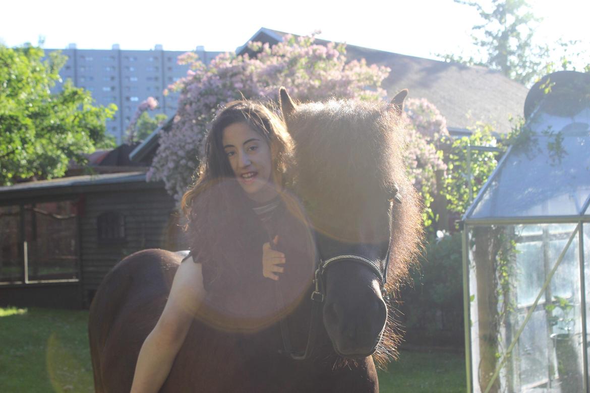 Islænder TVISTUR fra FRI-STEDET - Eva og Tvistur <33 billede 17