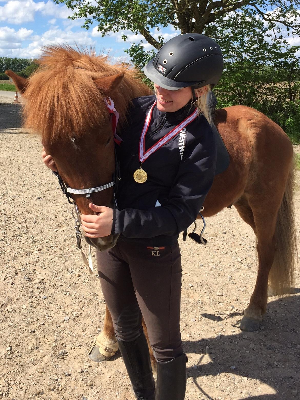 Islænder Eldingur fra Rønnow - Vinder af T4 til Gandurs klubmesterskab 2017 billede 5