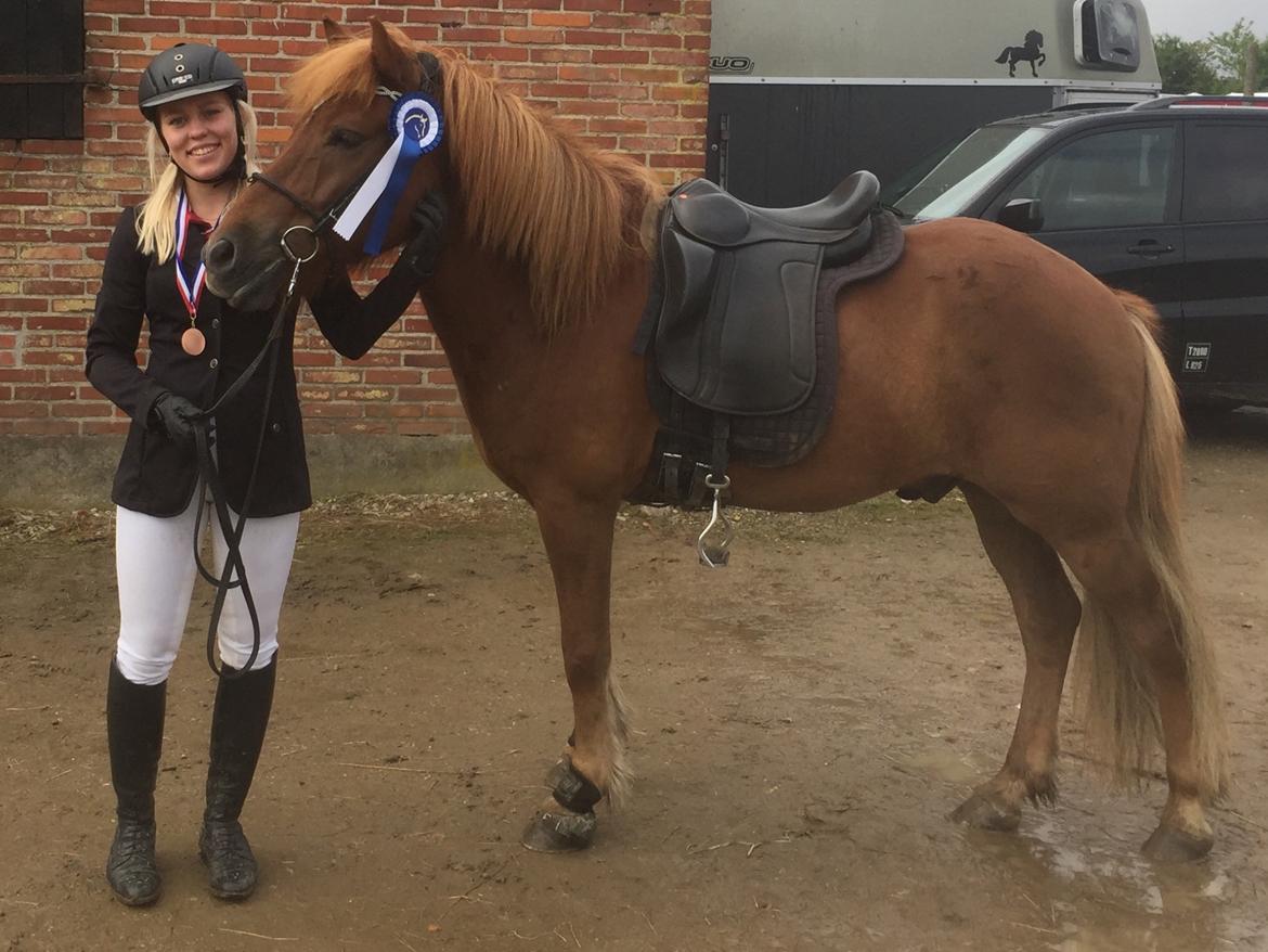 Islænder Eldingur fra Rønnow - Første 5.2 gik vi hjem med en 2. Plads til sydjysk mesterskab 2017 billede 17