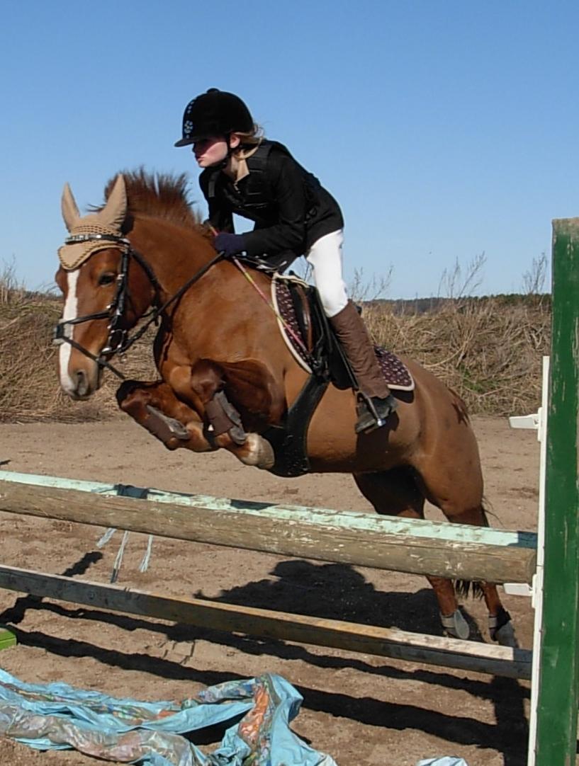 DSP Hvidelandsgårds Je'taime | solgt :( billede 1