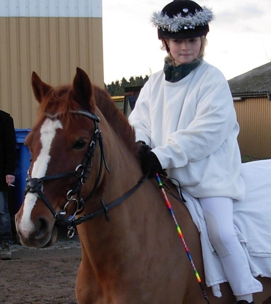 DSP Hvidelandsgårds Je'taime | solgt :( billede 8