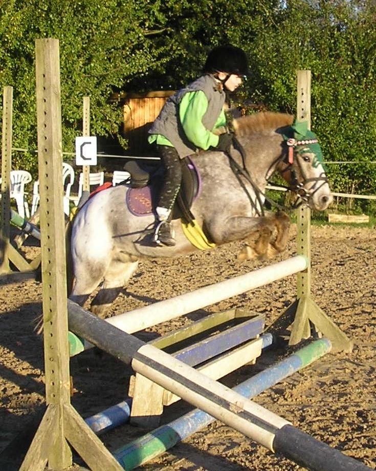 Anden særlig race Viktor  | solgt :( | R.I.P. <'3 :'(( - Undskyld kvaliteten, men dette er det bedste springbillede, jeg har liggende på computeren. ØV... Beklager generelt alle billederne og variationen i dem, skal lige have scannet nogle ind, der ikke er på computeren. billede 1